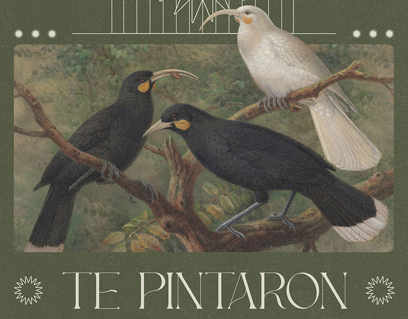 TE-PINTARON-PAJARITOS-ART-PROJECT
